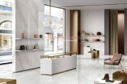 Gạch Ốp Lát Apodio 88285028